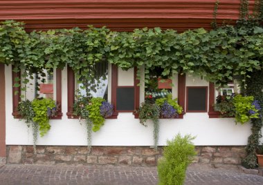 House facade in Miltenberg clipart