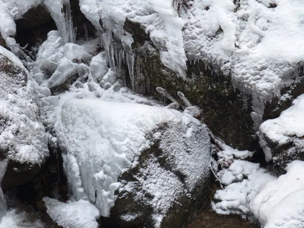 Зимняя деталь со снегом и льдом — стоковое фото