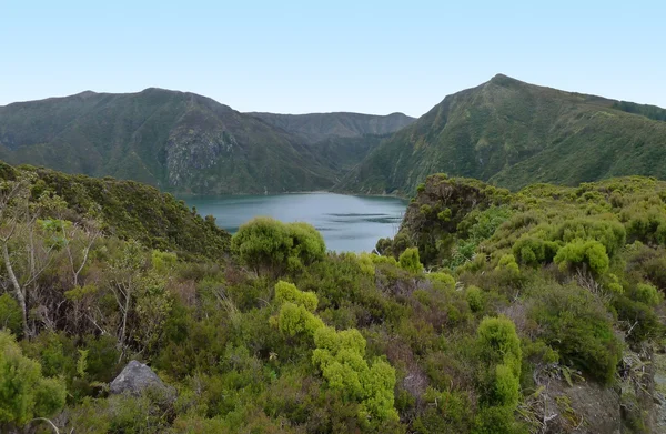 アゾレス諸島で草に覆われた湖畔の美しい風景 — ストック写真