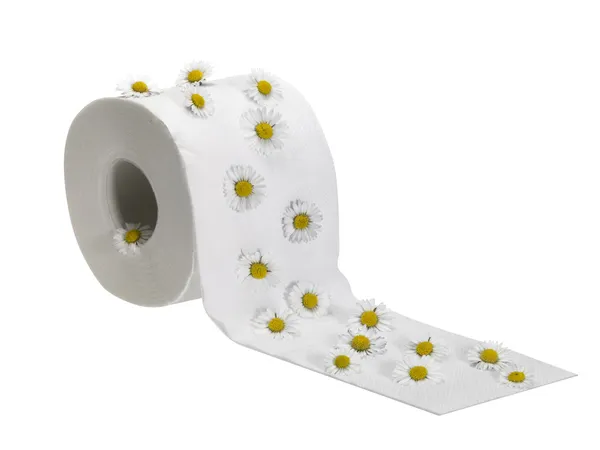 Туалетний паперовий рулон прикрашений ромашковими квітами — стокове фото