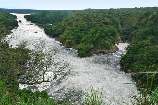 Nil wokół murchison spada — Zdjęcie stockowe