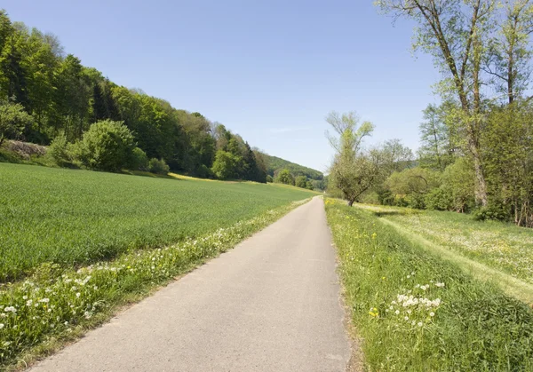 stock image Idyllic spring scenery in Hohenlohe