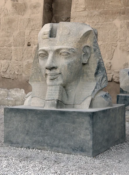 Escultura no Templo de Luxor no Egito — Fotografia de Stock