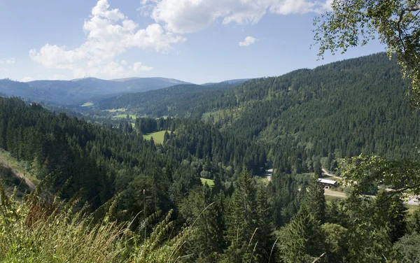 Idylliska Schwarzwald landskapet — Stockfoto