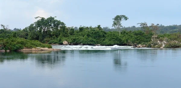 Waterside River Nile scenery near Jinja in Uganda — Stockfoto