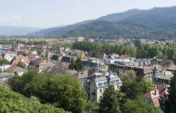 Freiburg im Breisgau in de zomer — Stockfoto