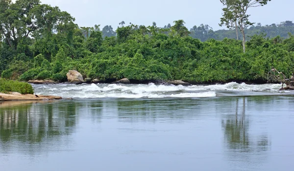 Rivier Nijl landschap in de buurt van jinja in Afrika — Stockfoto
