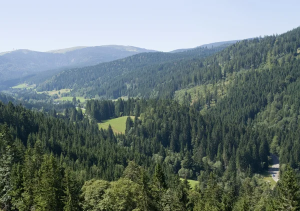 Идиллический пейзаж Шварцвальда — стоковое фото