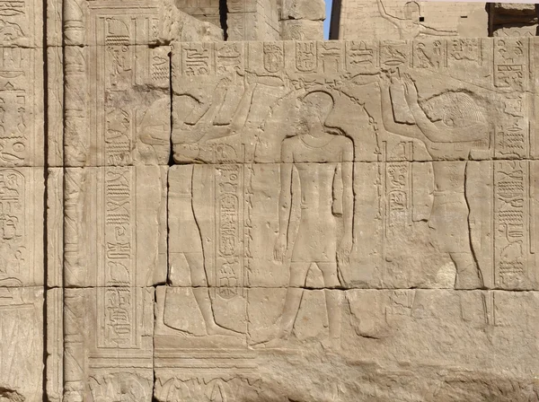 Opluchting naar aanleiding van de tempel van edfu in Egypte — Stockfoto