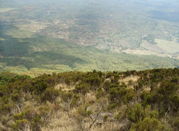 Virunga bergen — Stockfoto