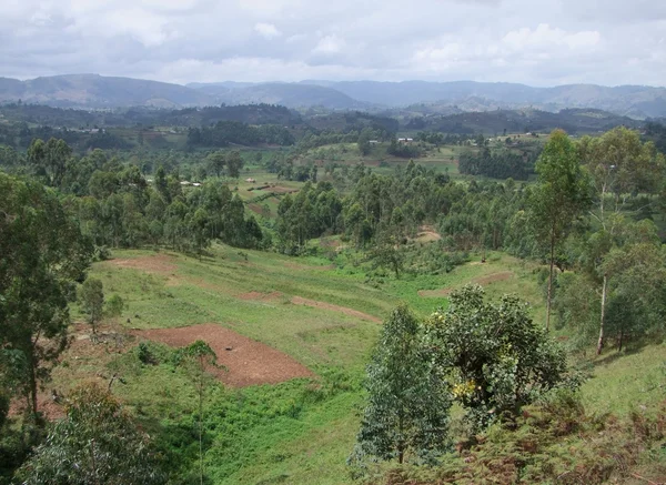 Virungabergen och grumlade himmel — Stockfoto