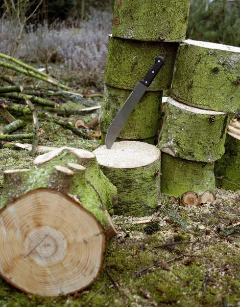 Holzbearbeitungslandschaft — Stockfoto