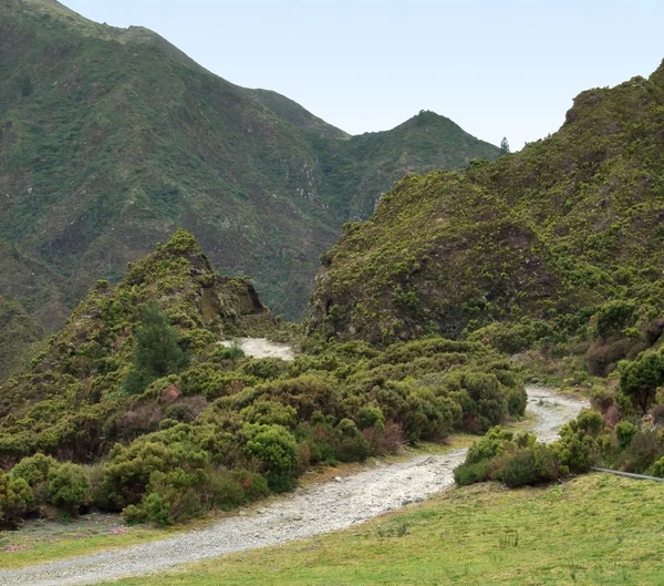 Idyllic Azores scenery — Stock Photo, Image
