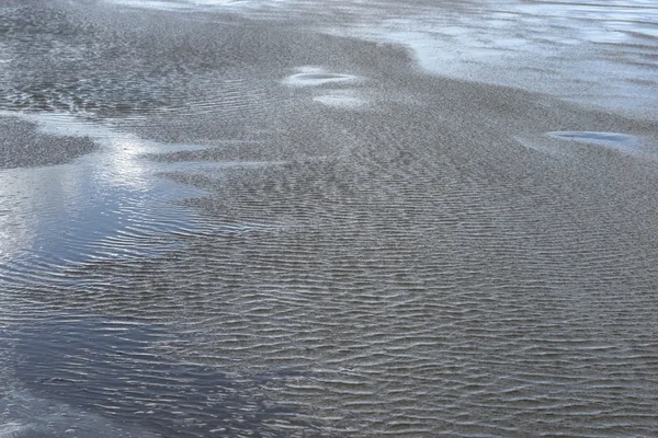 Résumé du paysage de marée descendante — Photo