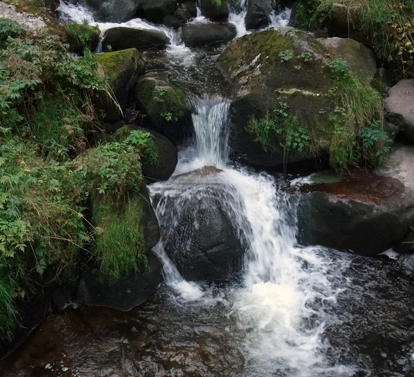 Triberg vattenfall i den svart skogen — Stockfoto