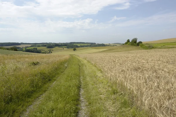 stock image Rural panoramic scenery with field path