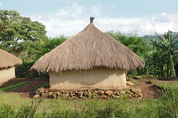 Traditionelles Dorf in der Nähe des Rwenzori-Gebirges — Stockfoto