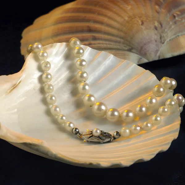 Seashell och pärlhalsband — Stockfoto