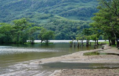 Shore of Loch Lomond clipart