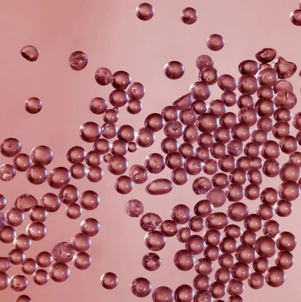 Pequeños glóbulos translúcidos —  Fotos de Stock