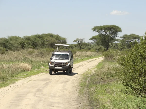 Safari en el Serengeti — Foto de Stock