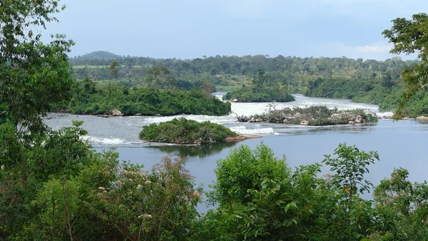 Rivier Nijl landschap in de buurt van jinja in Oeganda — Stockfoto