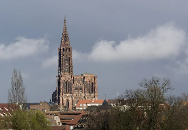 Собор в Страсбурге — стоковое фото