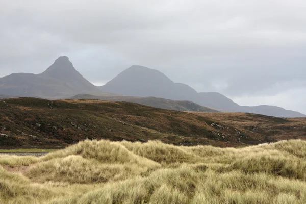 草に覆われた砂丘、丘 — ストック写真