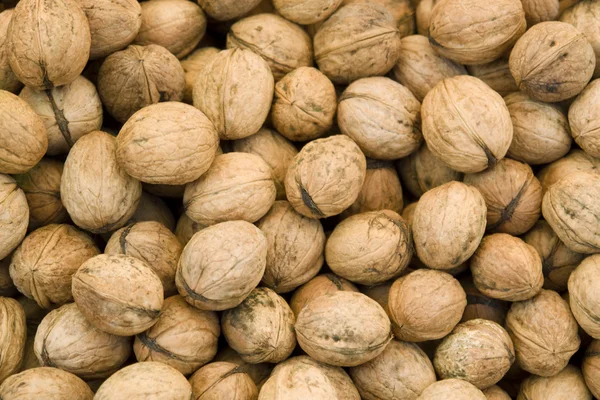 Unpeeled walnut background — Stock Photo, Image