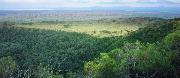 Chambura-Schlucht in Afrika — Stockfoto