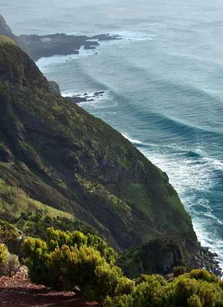 Coastal scenery at the Azores — Stock Photo, Image