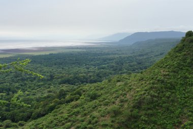 Lake Manyara National Park in Africa clipart