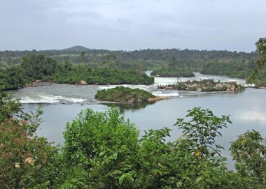 Waterside River Nile scenery near Jinja in Africa clipart