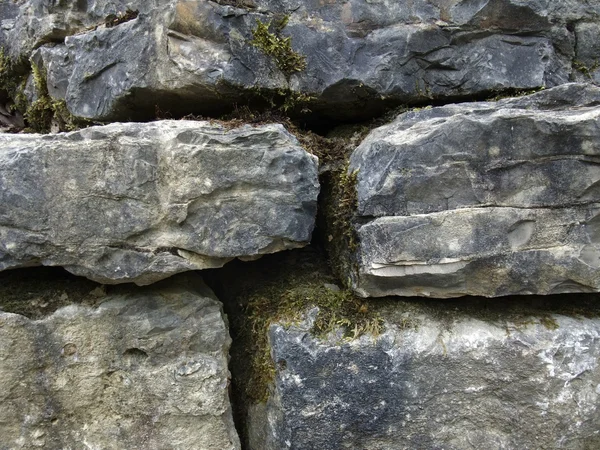 Mossy stone wall detail
