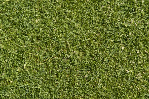 Háttér zöld absztrakt golf — Stock Fotó