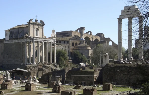 Forum Romanum durante l'estate — Foto Stock