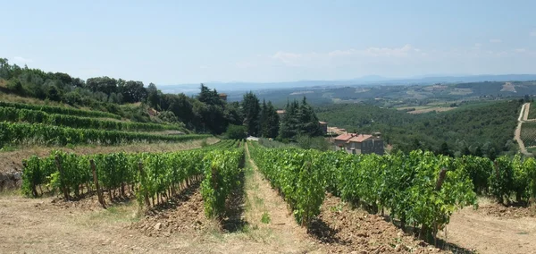 Chianti in Tuscany — Stock Photo, Image