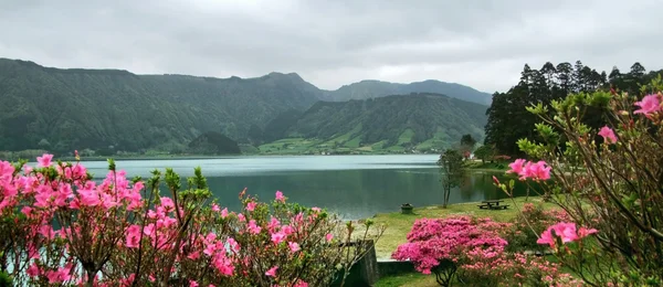 Idyllische landschap van de Azoren — Stockfoto