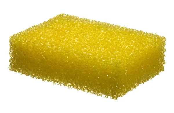 Household sponge — Stock Photo, Image