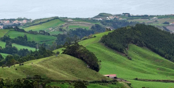 Paisajes costeros en las Azores —  Fotos de Stock