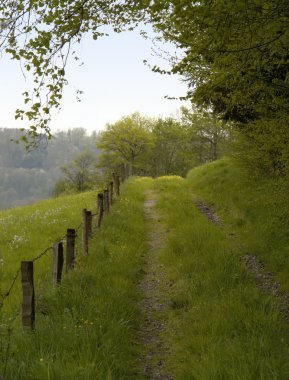 Overgrown field path clipart