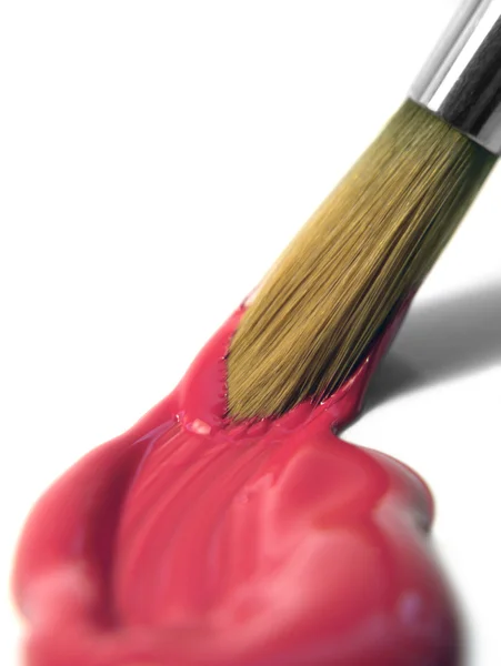 Pintura e ponta da escova — Fotografia de Stock