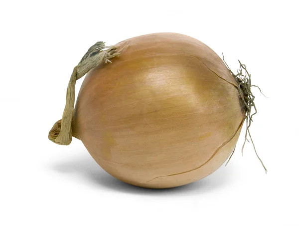 Onion in light back — Stock Photo, Image