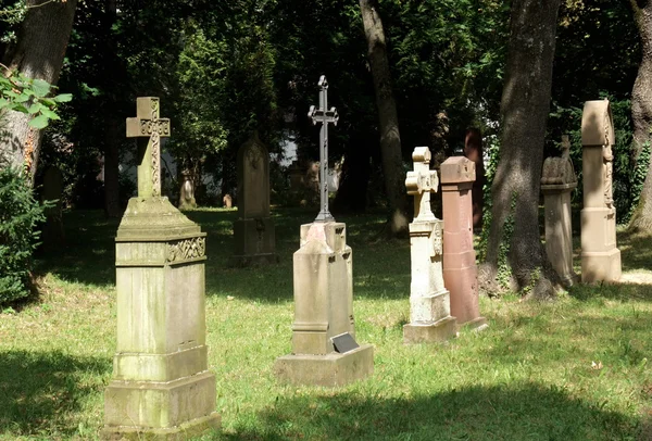 Old graveyard in Freiburg — Stock Photo, Image