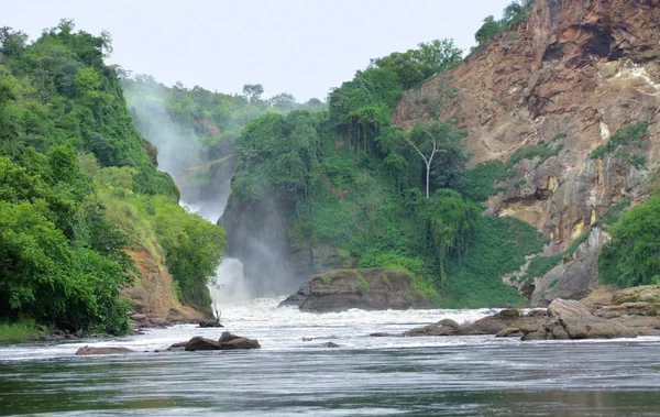 Idyllic view around the Murchison Falls — Stock Photo, Image