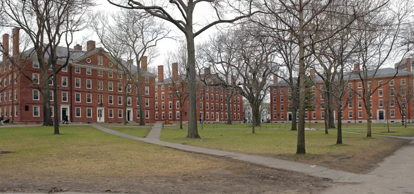 Harvard yard v cambridge — Stock fotografie