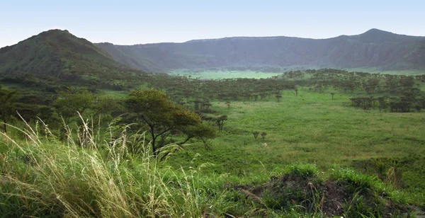 Královna elizabeth národní park v Africe — Stock fotografie