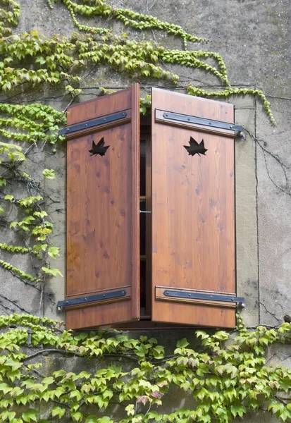 Persiana de ventana de madera —  Fotos de Stock