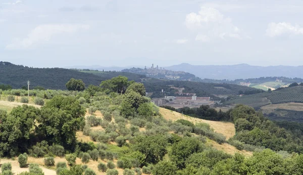 Tuscany landscape near San Gimignano — Stock Photo, Image