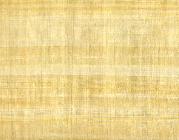 Folha de papiro marrom claro — Fotografia de Stock